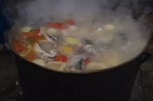 fish