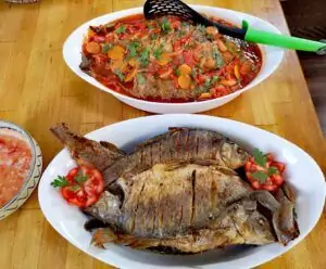fish