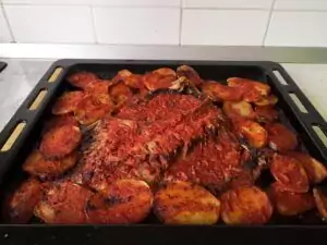 fish